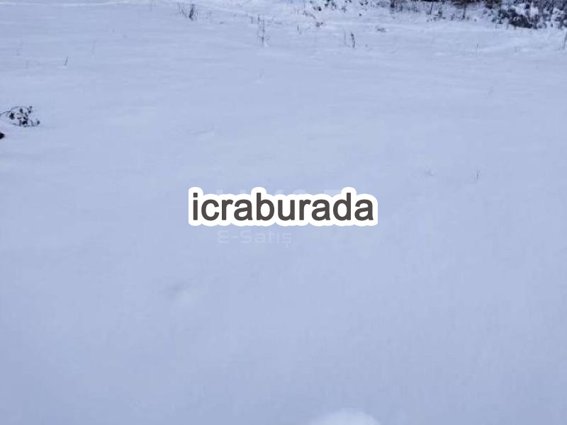 icralık  m2 Diger Ordu Mesudiye Mahmudiye