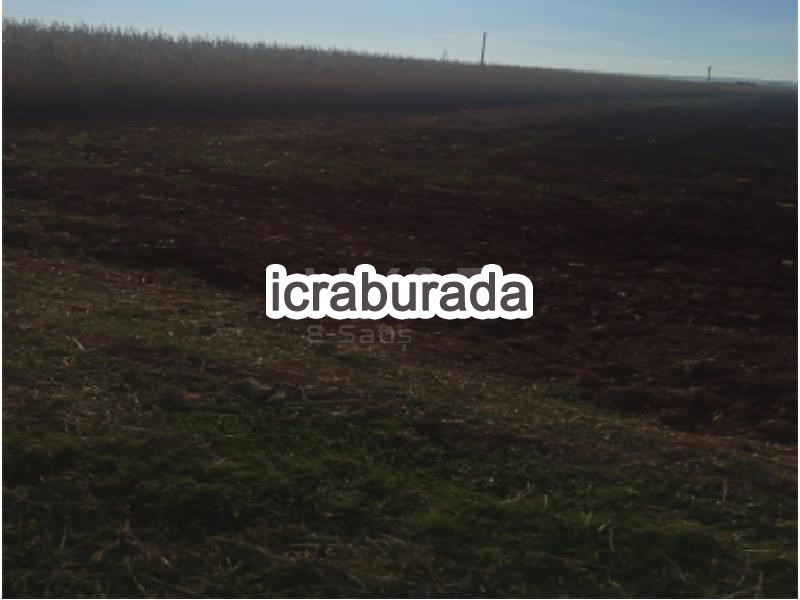 icralık  m2 Tarla Mardin Kızıltepe Mezopotamya