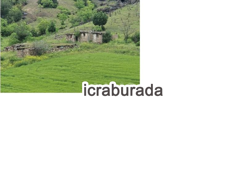 icralık  m2 Tarla Amasya Göynücek Damlaçimen