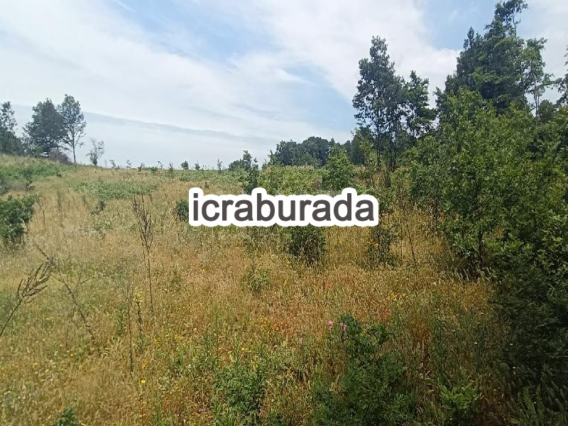 icralık  m2 Tarla Balıkesir Susurluk Kalfaköy