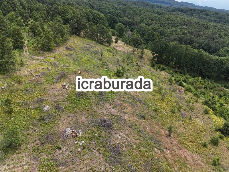 icralık  m2 Tarla Balıkesir Susurluk Kalfaköy