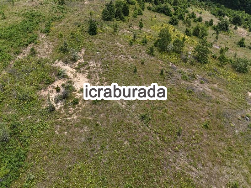 icralık  m2 Tarla Balıkesir Susurluk Kalfaköy