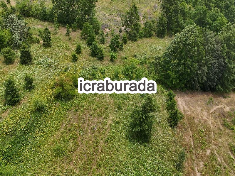 icralık  m2 Tarla Balıkesir Susurluk Kalfaköy