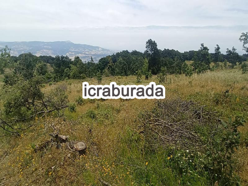 icralık  m2 Tarla Balıkesir Susurluk Kalfaköy
