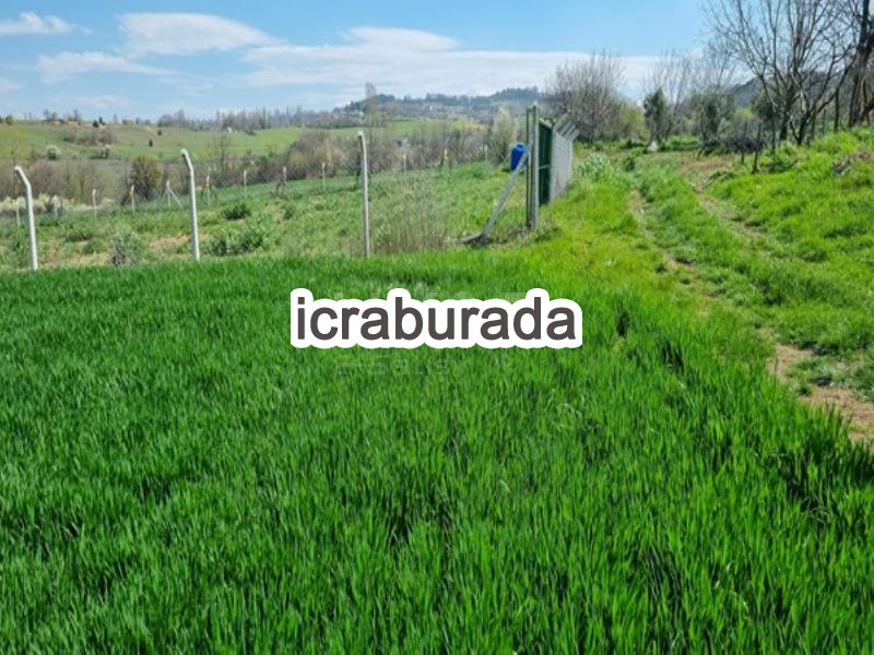 icralık  m2 Tarla Bilecik Merkez Okluca