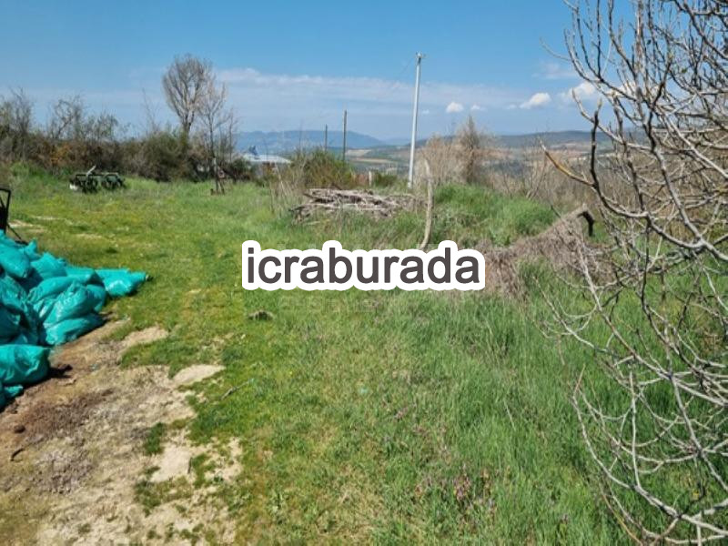icralık  m2 Tarla Bilecik Merkez Okluca