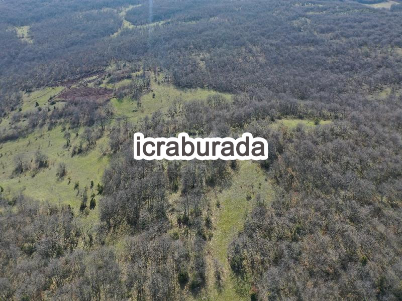 icralık  m2 Tarla Bilecik Merkez Çakirpinar