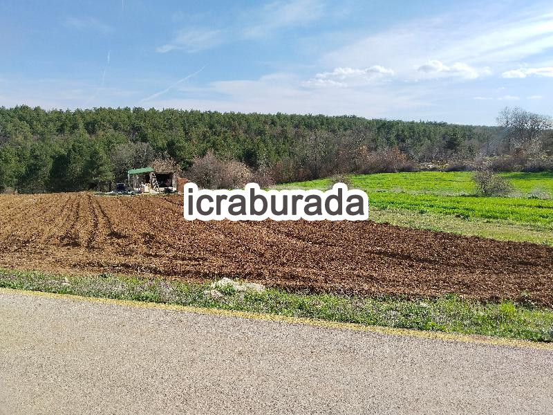 icralık  m2 Tarla Bilecik Merkez Çakirpinar
