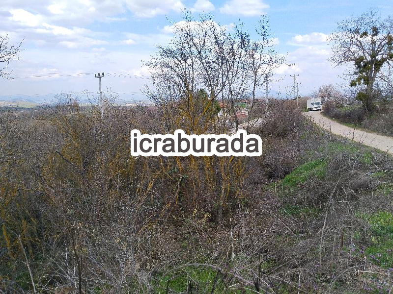 icralık  m2 Tarla Bilecik Merkez Çakirpinar