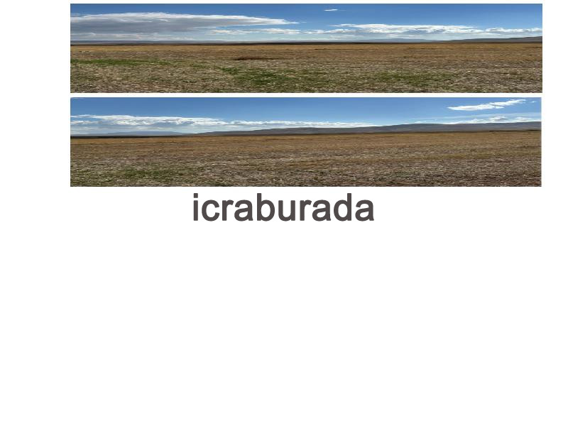 icralık  m2 Tarla Afyonkarahisar Emirdağ Gelincik