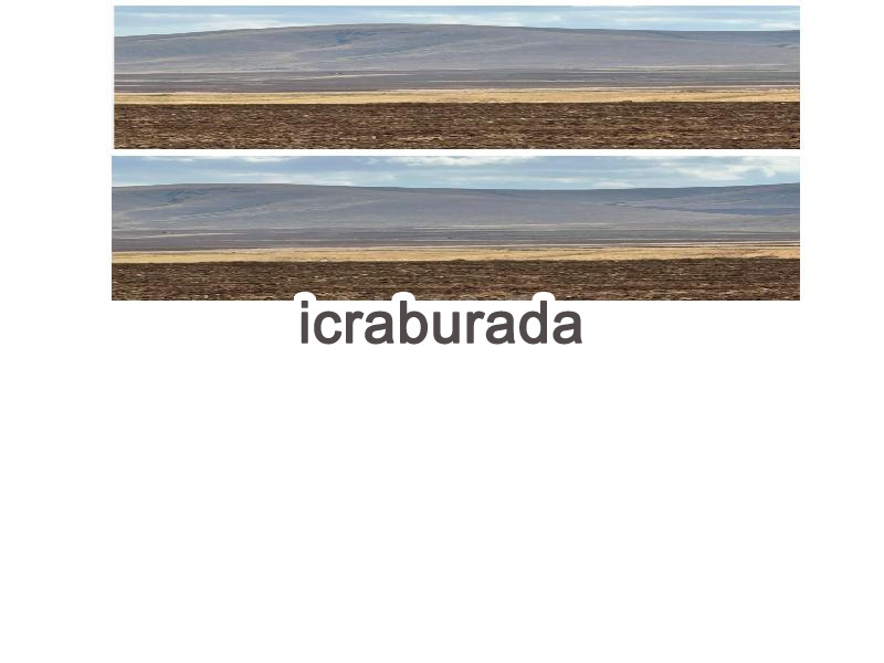 icralık  m2 Tarla Afyonkarahisar Emirdağ Gelincik