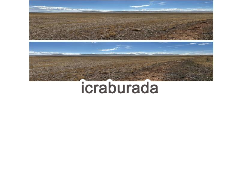 icralık  m2 Tarla Afyonkarahisar Emirdağ Gelincik