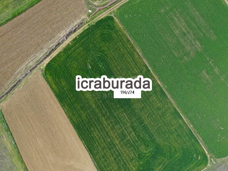 icralık  m2 Tarla Bilecik Merkez Yeniköy