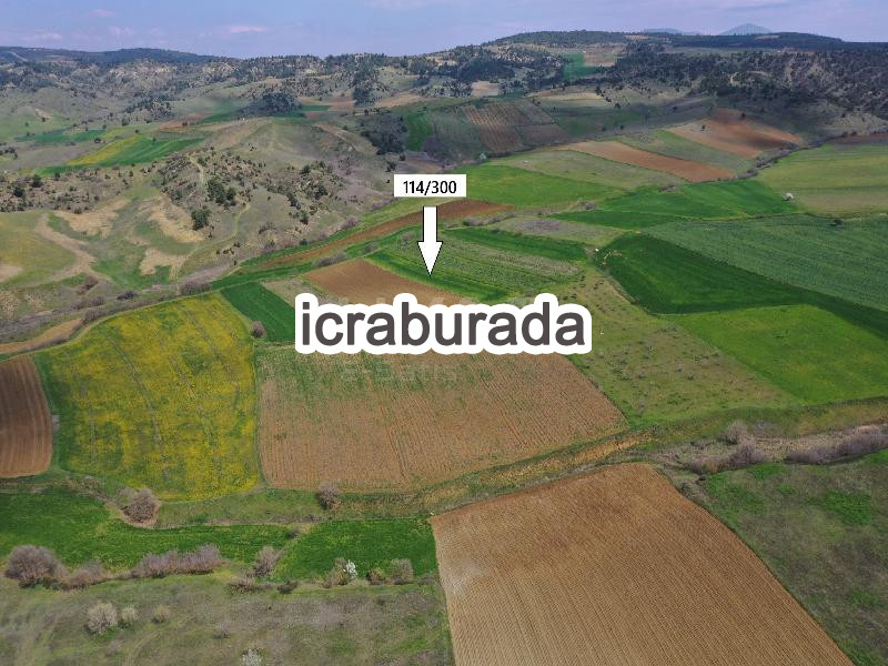 icralık  m2 Tarla Bilecik Merkez Yeniköy