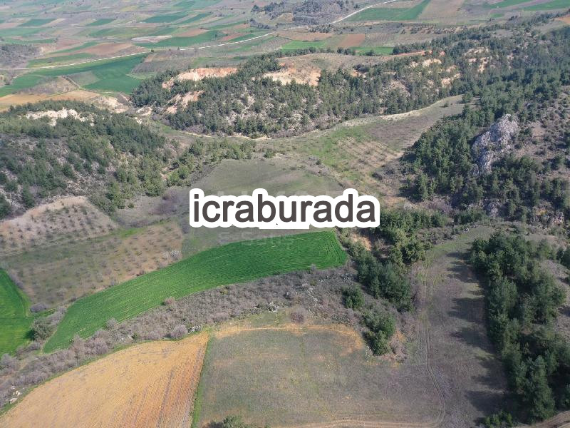 icralık  m2 Tarla Bilecik Merkez Yeniköy