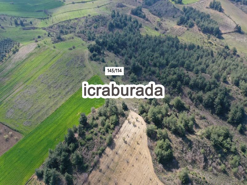 icralık  m2 Tarla Bilecik Merkez Yeniköy