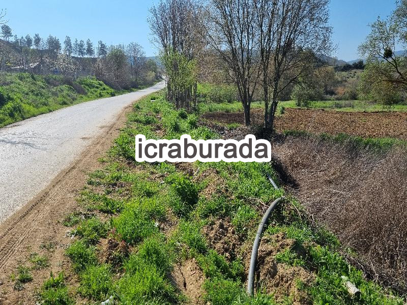 icralık  m2 Tarla Bilecik Merkez Yeniköy