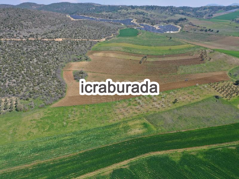 icralık  m2 Tarla Bilecik Merkez Yeniköy