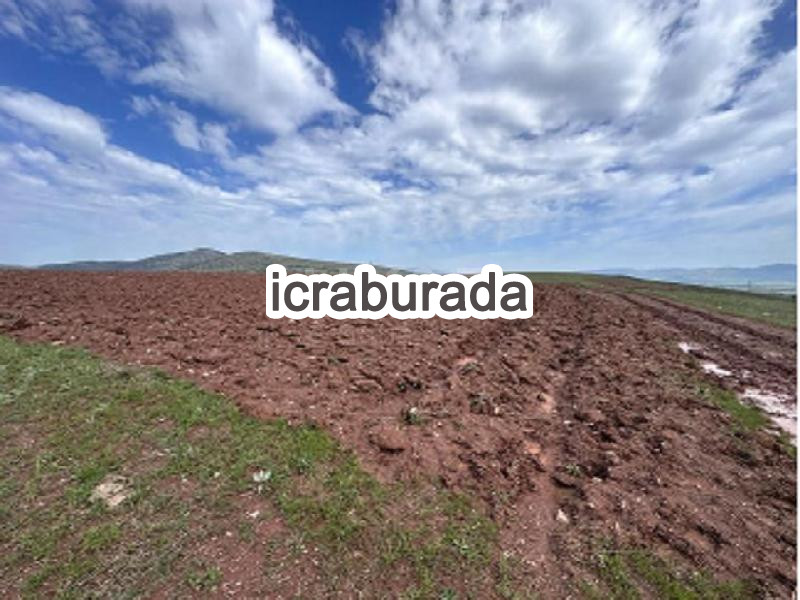 icralık  m2 Tarla Tokat Merkez Ortaören