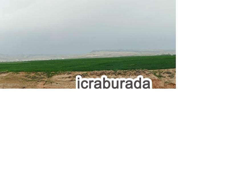 icralık  m2 Tarla Mardin Artuklu Kumlu