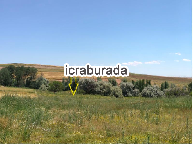 icralık  m2 Tarla Kırşehir Merkez Akçağil