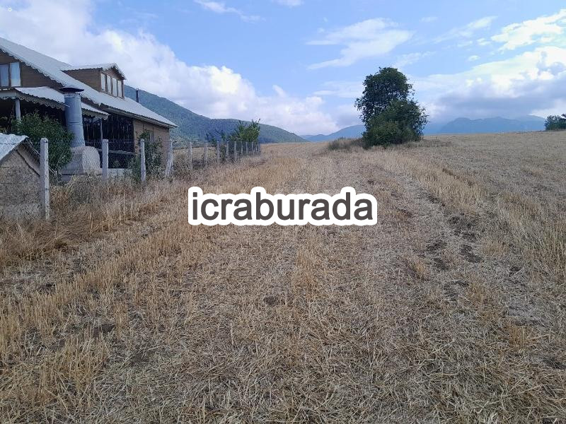 icralık  m2 Tarla Samsun Bafra Kolay