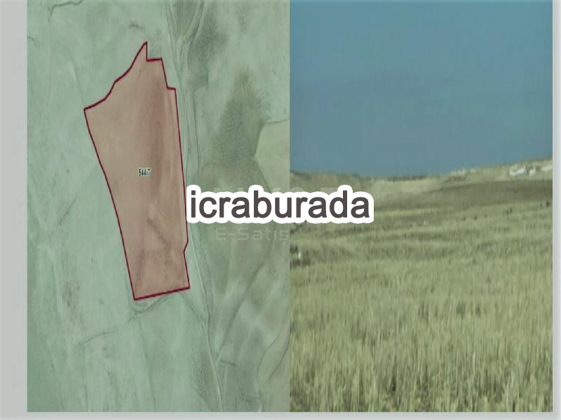 icralık  m2 Tarla Aksaray Merkez Taşpinar/yavuzselim