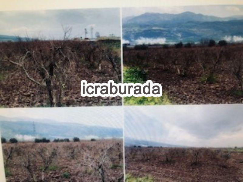 icralık  m2 Tarla Aydın Buharkent Kizildere