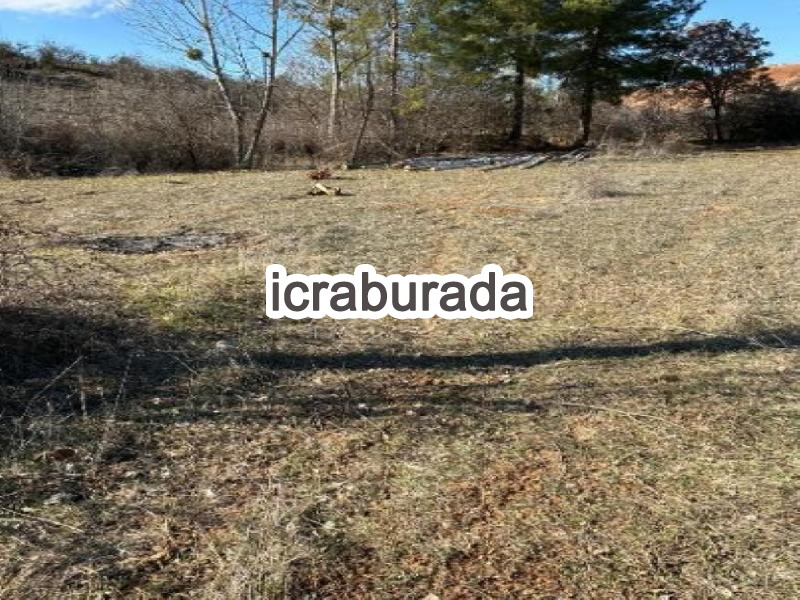 icralık  m2 Tarla Denizli Çal Hüseyinler