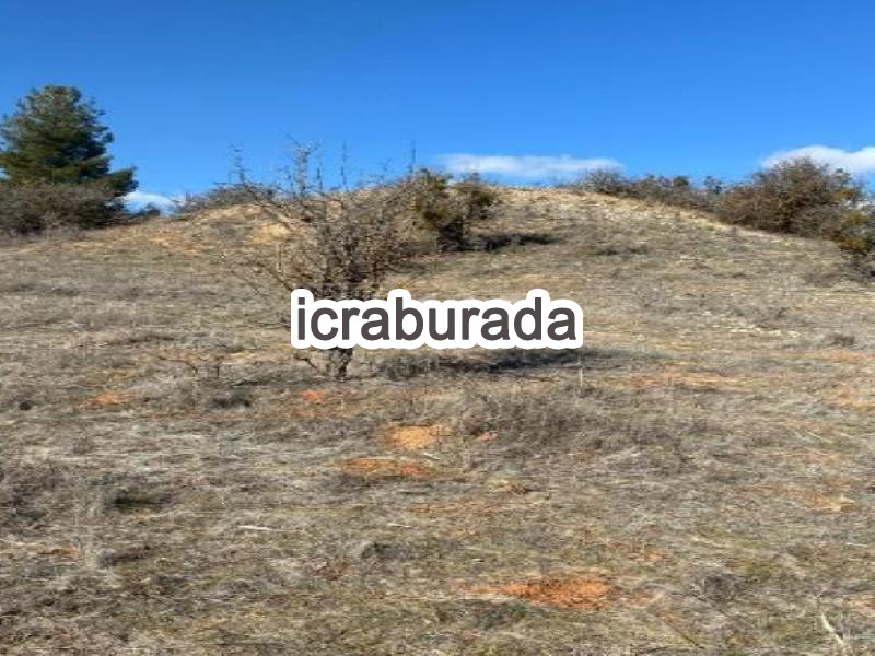 icralık  m2 Tarla Denizli Çal Hüseyinler