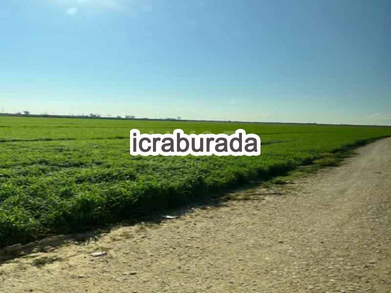 icralık  m2 Tarla Mersin Tarsus Mantaş