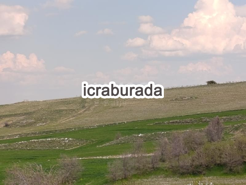 icralık  m2 Tarla Afyonkarahisar Merkez Işiklar-Atatürk