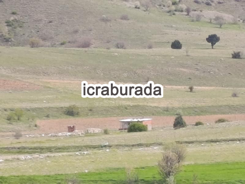icralık  m2 Tarla Afyonkarahisar Merkez Işiklar-Atatürk