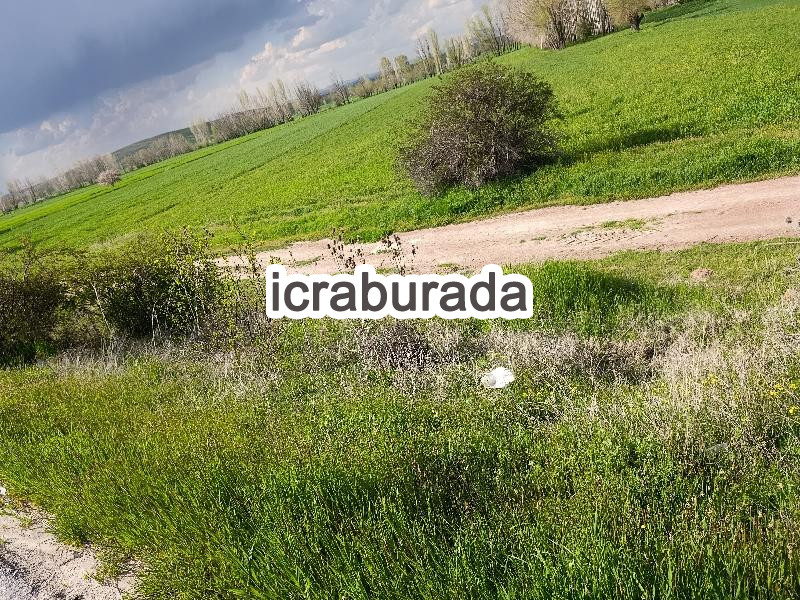 icralık  m2 Tarla Afyonkarahisar Merkez Değirmendere