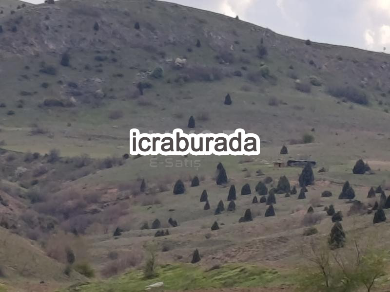 icralık  m2 Tarla Afyonkarahisar Merkez Işiklar-Atatürk