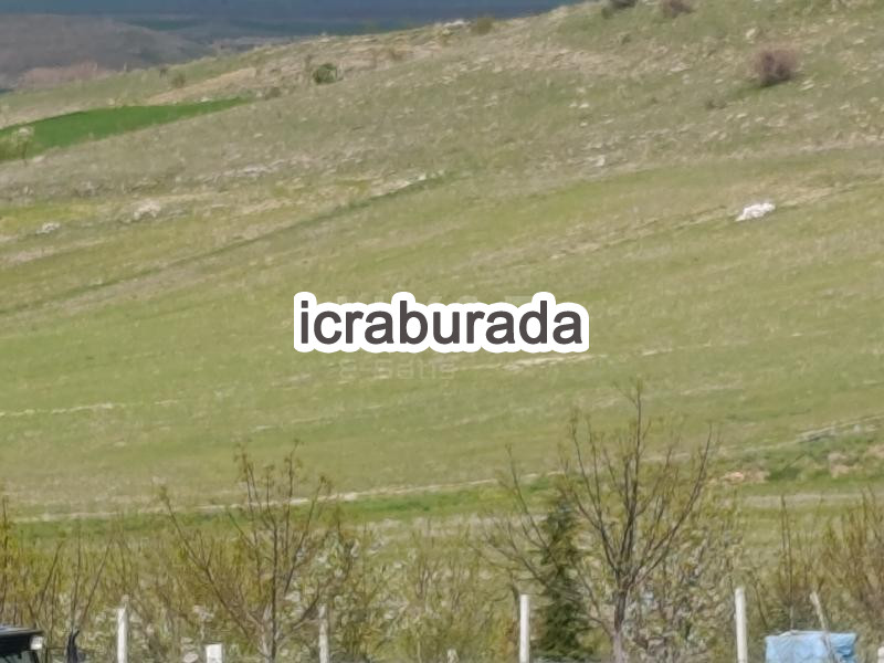 icralık  m2 Tarla Afyonkarahisar Merkez Işiklar-Atatürk