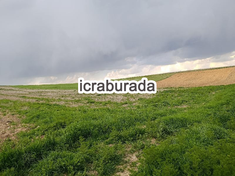 icralık  m2 Tarla Afyonkarahisar Merkez Değirmendere