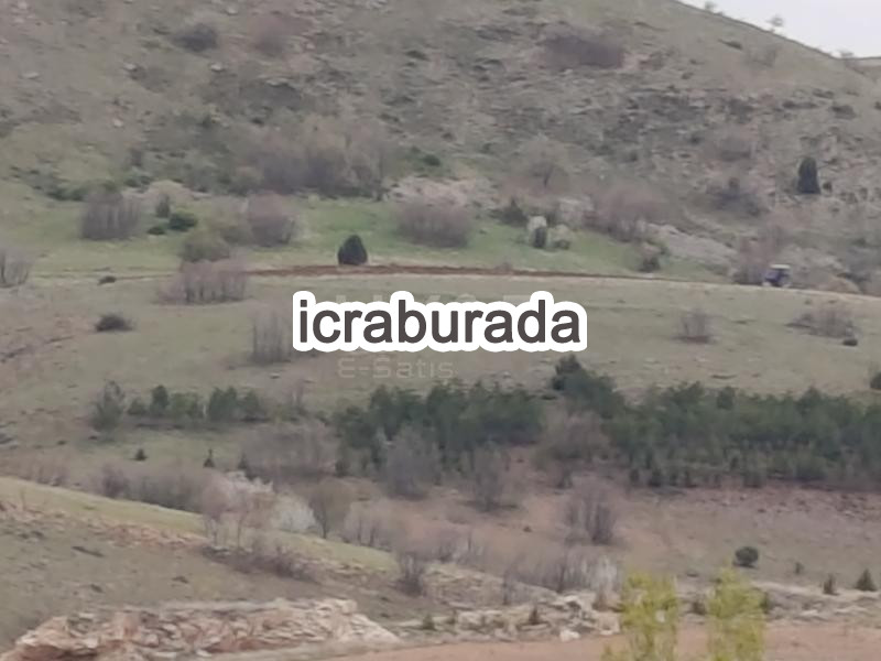 icralık  m2 Tarla Afyonkarahisar Merkez Işiklar-Yeni