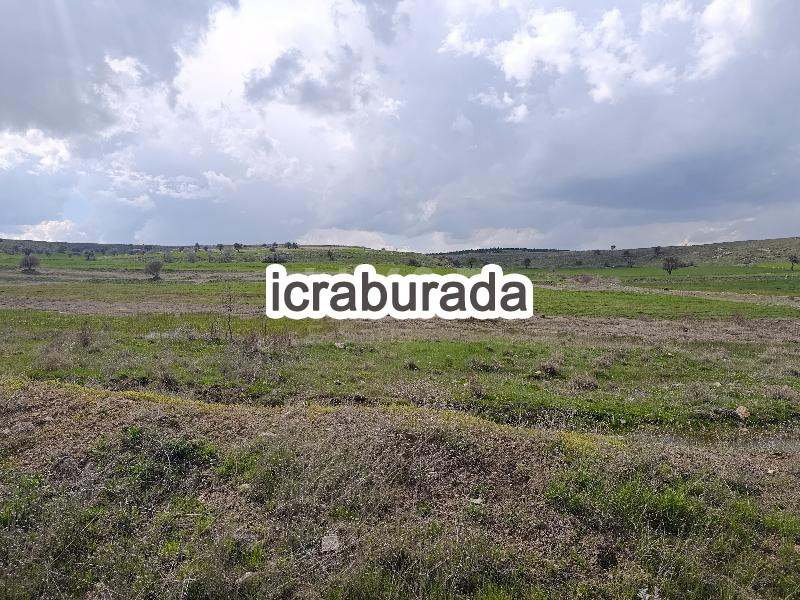 icralık  m2 Tarla Afyonkarahisar Merkez Işiklar-Yeni