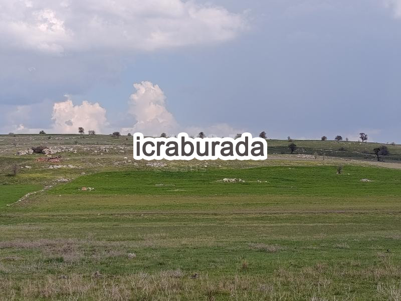 icralık  m2 Tarla Afyonkarahisar Merkez Işiklar-Yeni