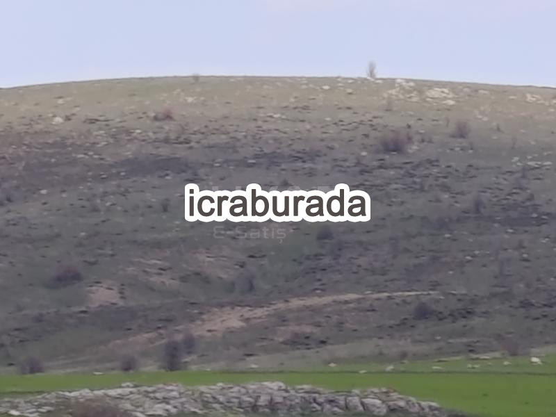 icralık  m2 Tarla Afyonkarahisar Merkez Işiklar-Yeni