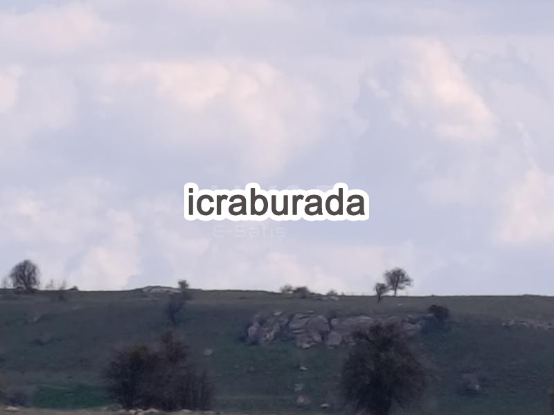 icralık  m2 Tarla Afyonkarahisar Merkez Işiklar-Yeni