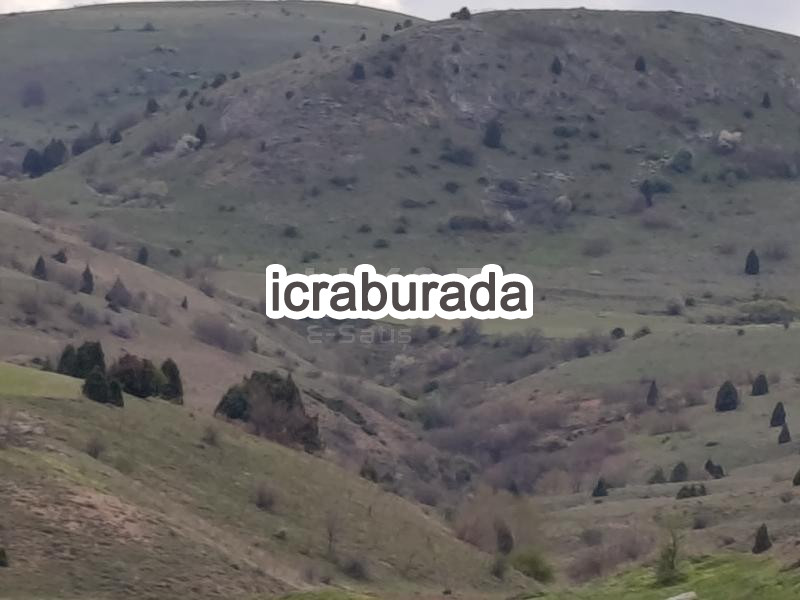 icralık  m2 Tarla Afyonkarahisar Merkez Işiklar-Atatürk
