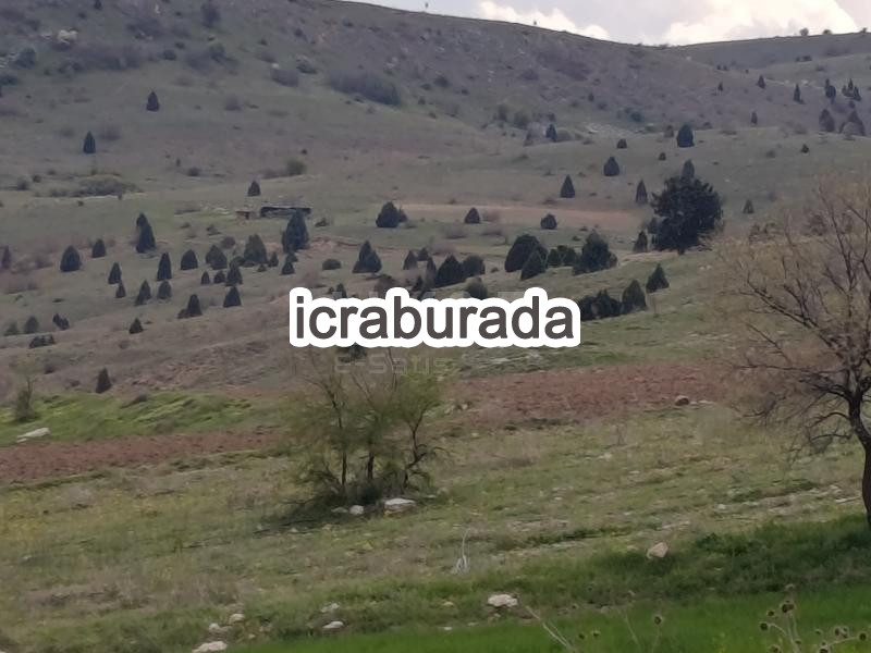 icralık  m2 Tarla Afyonkarahisar Merkez Işiklar-Yeni