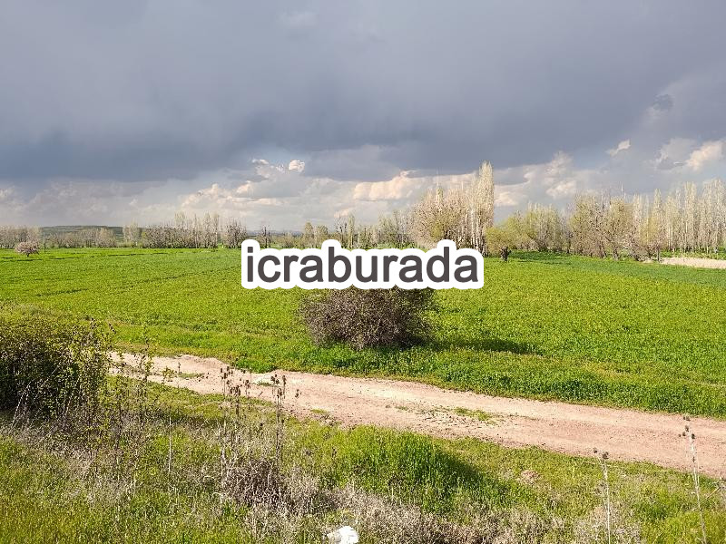 icralık  m2 Tarla Afyonkarahisar Merkez Değirmendere