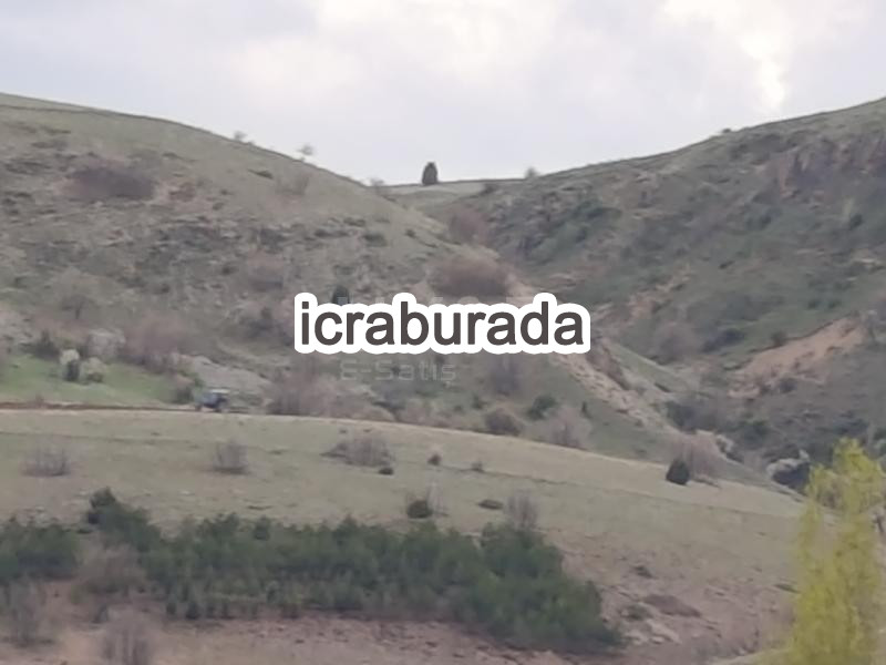 icralık  m2 Tarla Afyonkarahisar Merkez Işiklar-Yeni