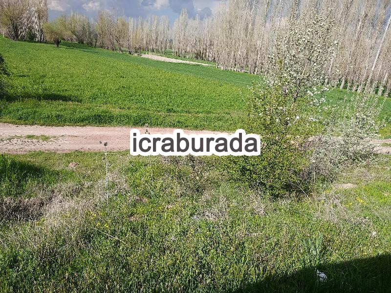 icralık  m2 Diger Afyonkarahisar Merkez Değirmendere