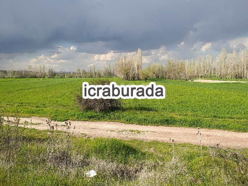 icralık  m2 Diger Afyonkarahisar Merkez Değirmendere