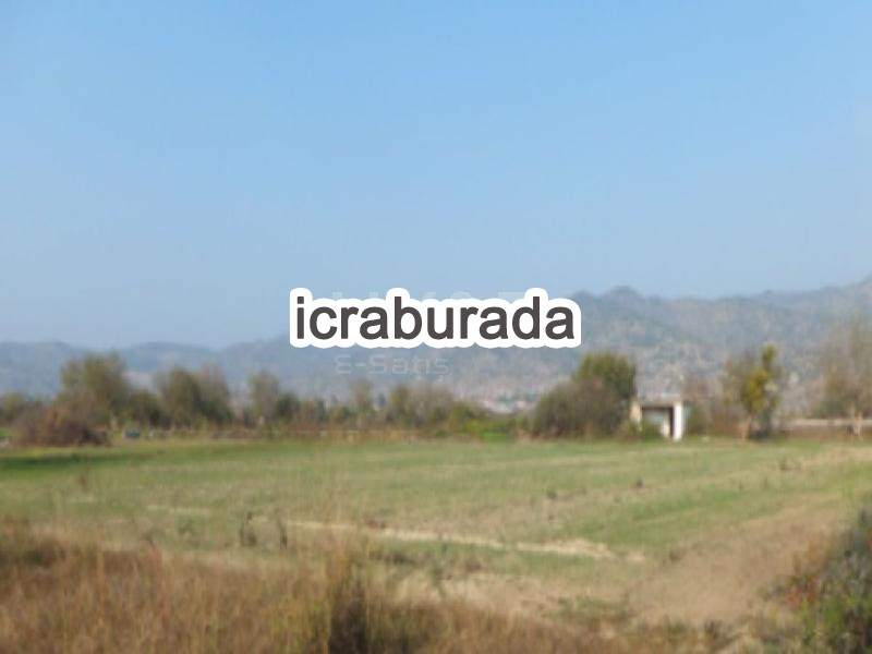 icralık  m2 Tarla Aydın Karpuzlu Aleyhan