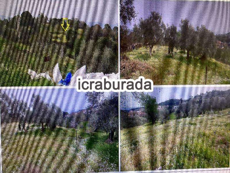 icralık  m2 Tarla Aydın Koçarlı Çulhalar
